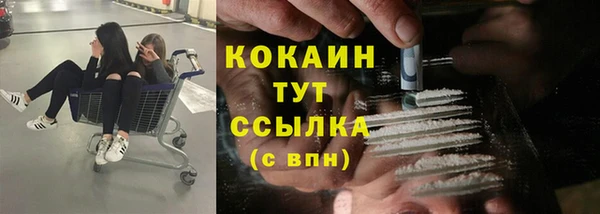 эйфоретик Белокуриха