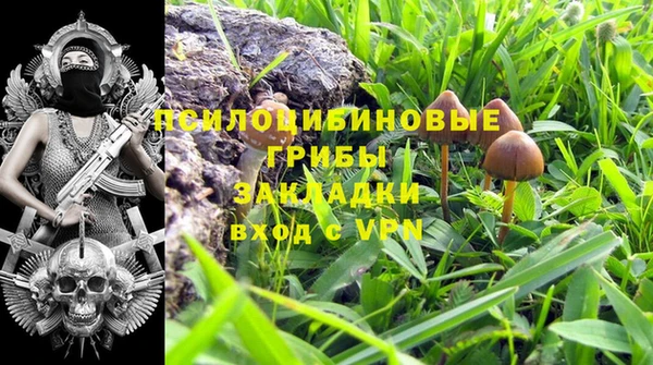 эйфоретик Белокуриха